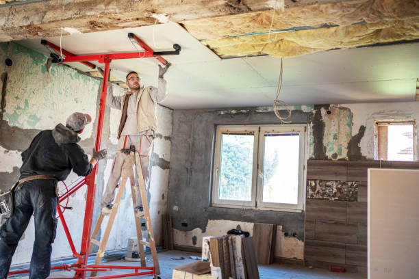 Best Attic Insulation Installation  in Concordia, MO